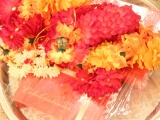 Tn IMG 2423